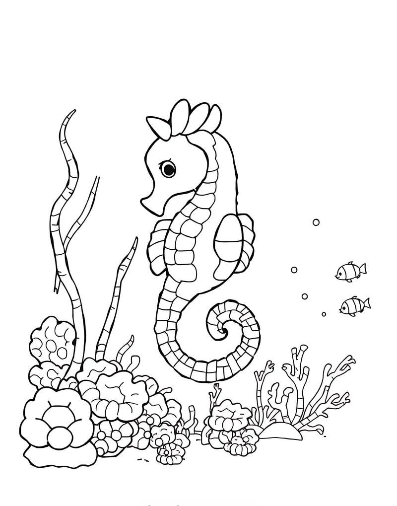 tô màu con cá ngựa tranh đơn giản đẹp