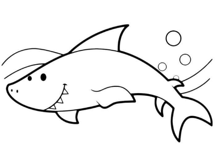 tranh tô màu con cá mập dành cho trẻ nhỏ