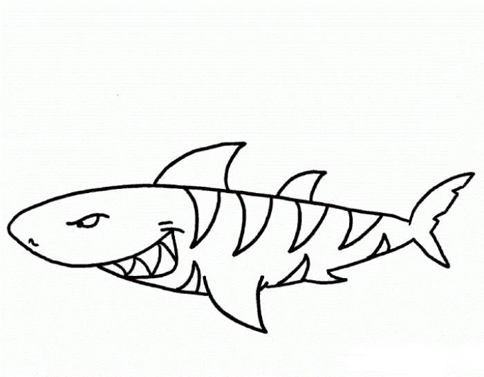 tranh tô màu con cá mập phong cách đơn giản