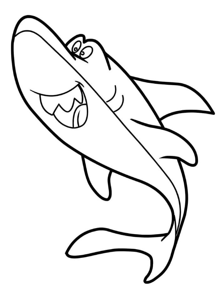 tranh tô màu con cá mập phù hợp giờ mỹ thuật