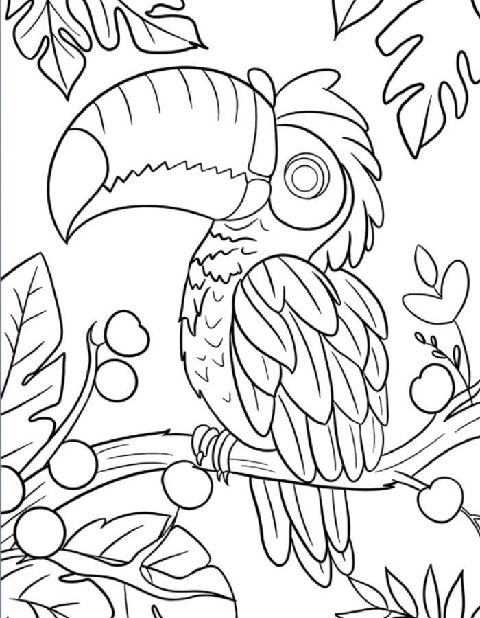 tranh tô màu con chim đang bay mềm mại