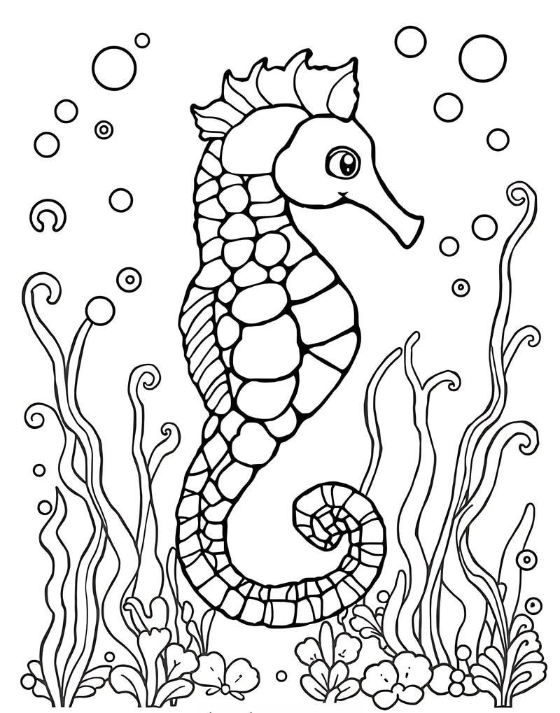 tranh vẽ đáng yêu tô màu con cá ngựa