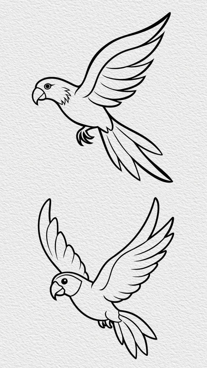 tư thế tự nhiên trong tranh tô màu con chim đang bay