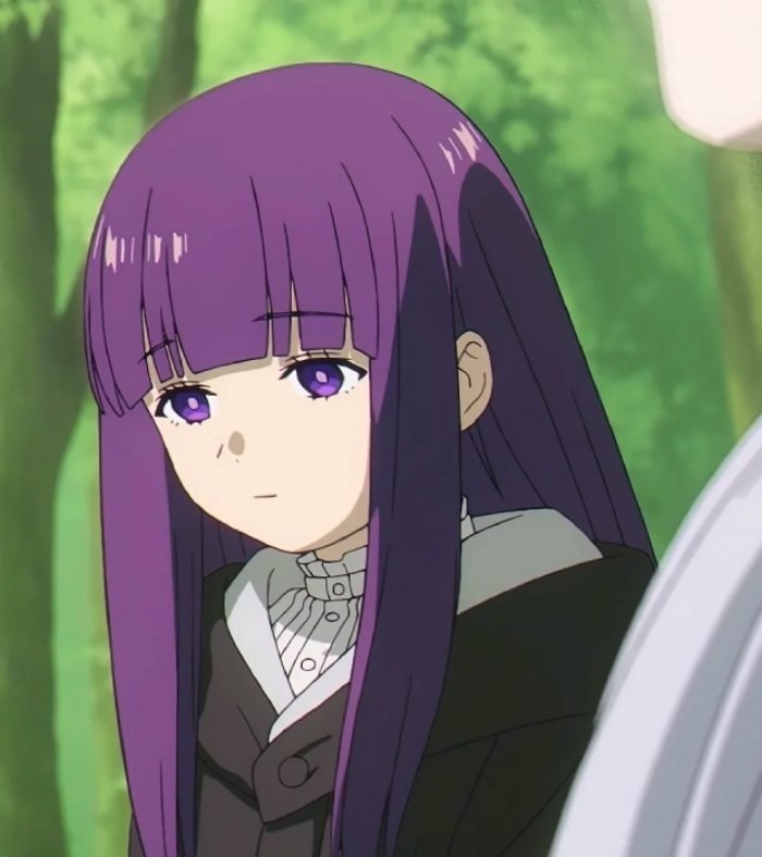 vẻ chín chắn thể hiện qua ảnh fern anime