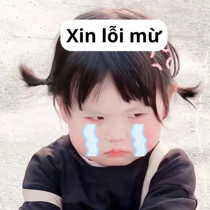 xin lỗi meme dùng khi lỡ lời khó nói