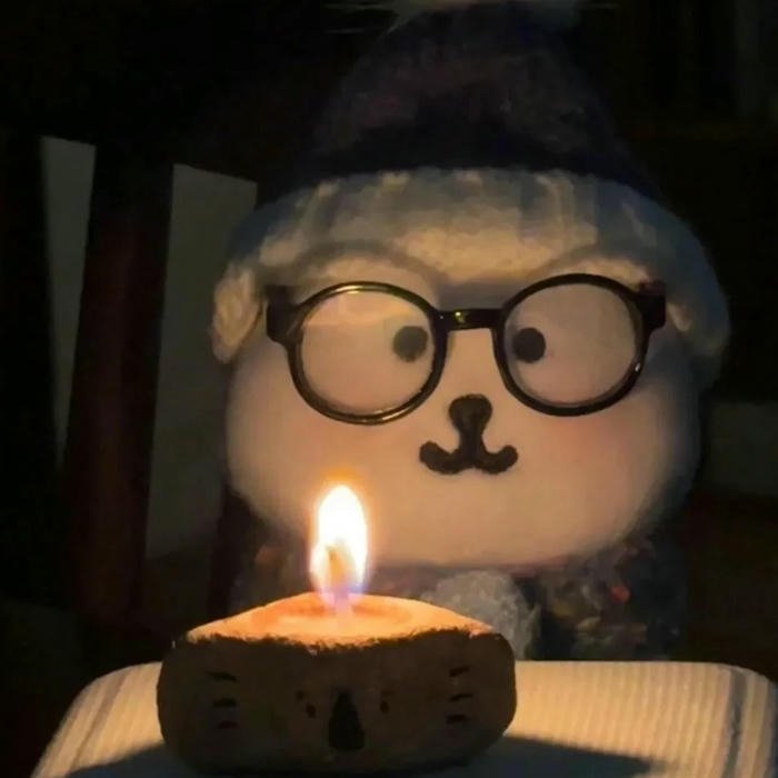 Ảnh sinh nhật hài hước chó đeo kính nhìn nến ấm