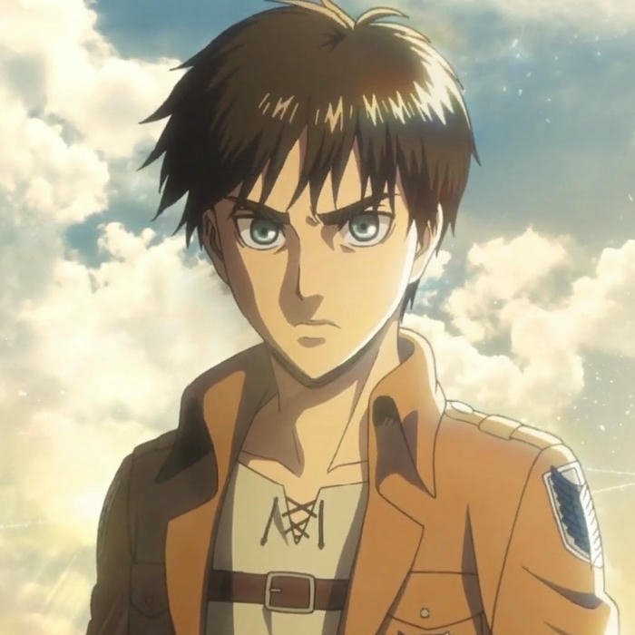 Avatar eren mặc quân phục trinh sát bầu trời