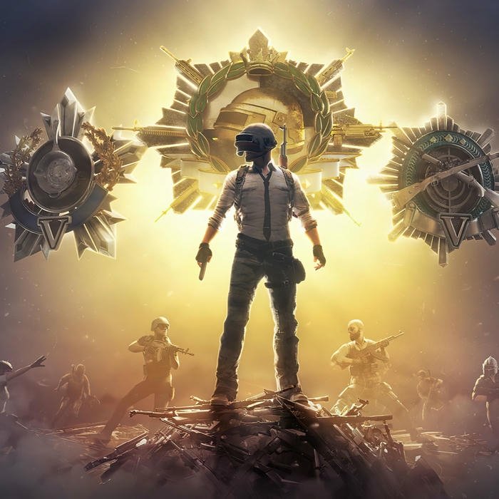 Hình ảnh avatar PUBG chiến binh tỏa sáng dưới ánh mặt trời