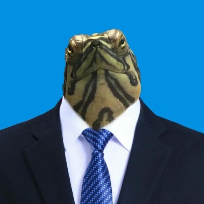 Hình ảnh avatar đầu rùa mặc vest lịch lãm