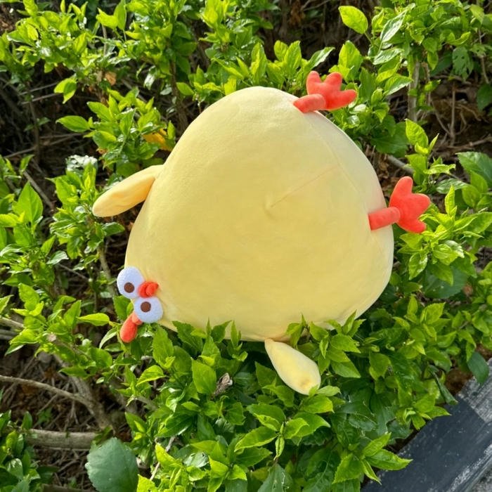 Hình ảnh avatar gà cute tròn trịa nằm trên cỏ