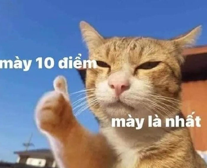ảnh 10 điểm meme xem là thấy thấm