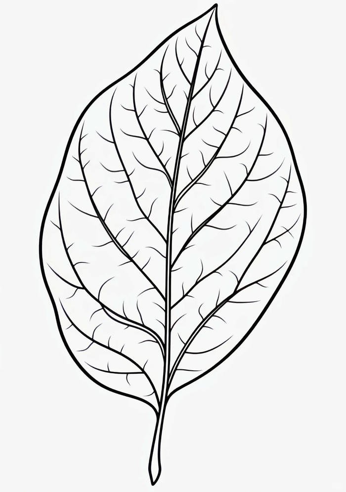 bài tập sáng tạo từ tranh tô màu lá cây