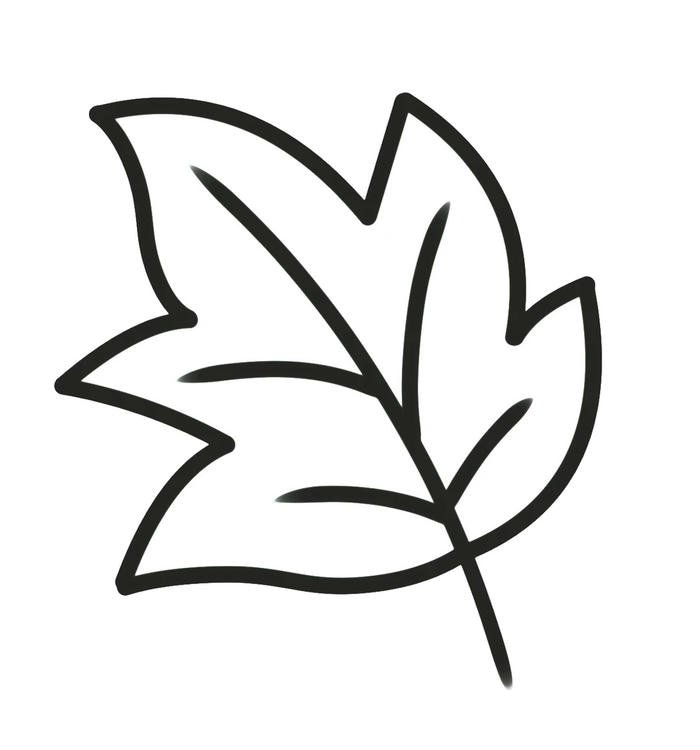 hình ảnh lá cây tô màu đơn giản gọn gàng