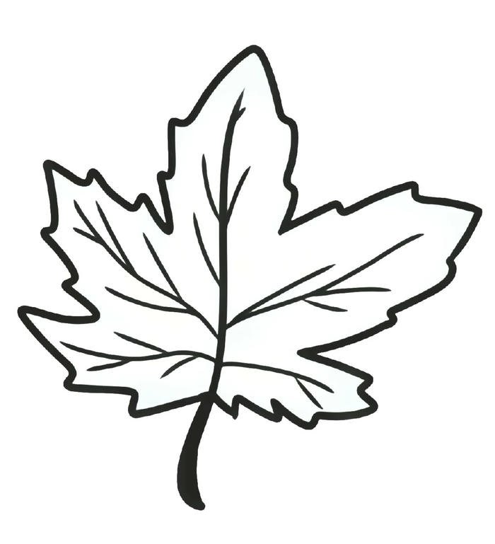 hình lá cây tô màu nét liền rõ ràng