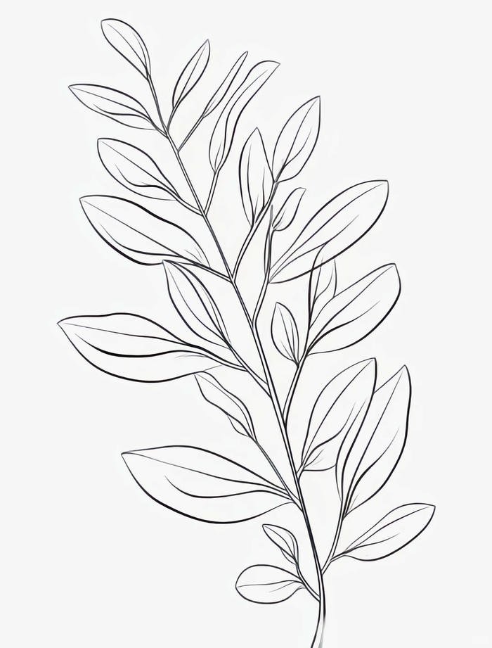 mẫu in giấy trắng hình ảnh lá cây tô màu