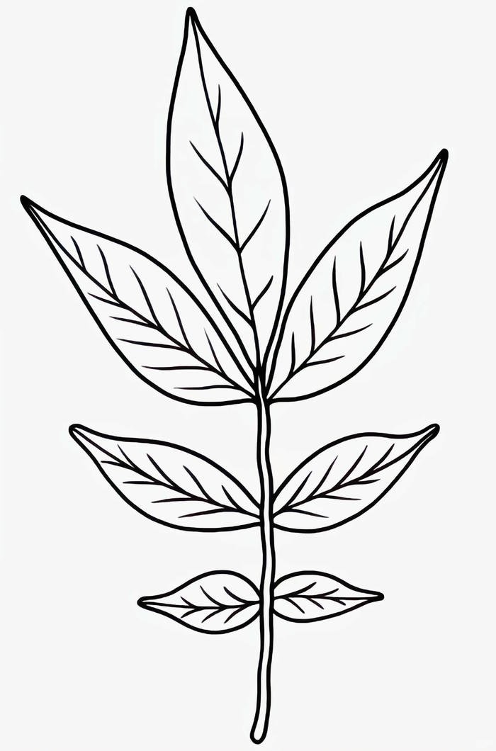 mẫu tranh dạng hình lá cây tô màu