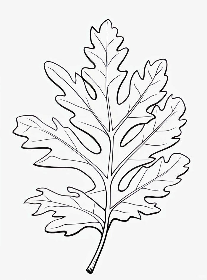 mẫu tranh đơn giản cho bé tô màu cỏ 4 lá