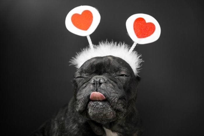 meme trái tim dùng làm ảnh reaction