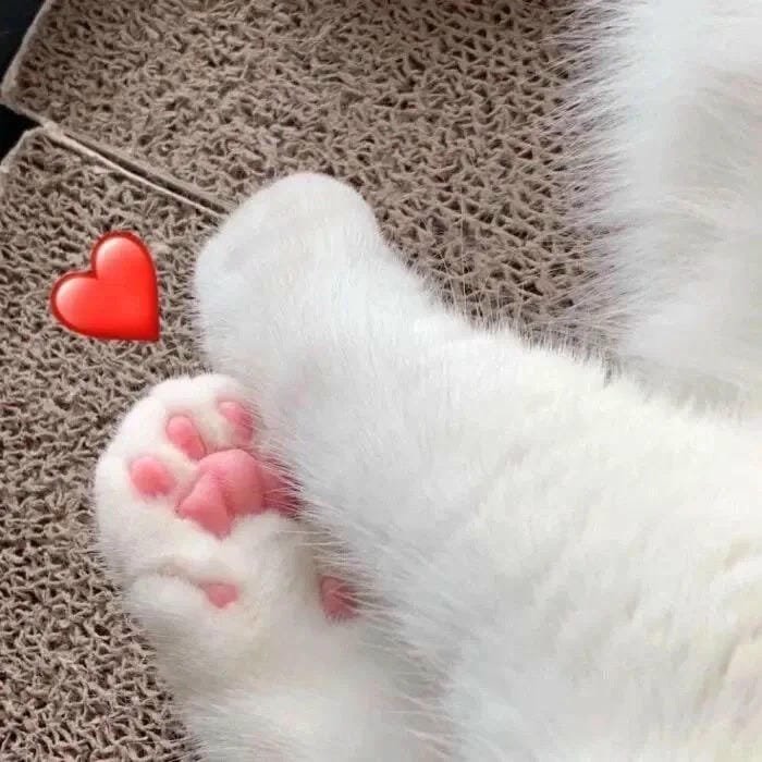 meme trái tim tạo không khí vui nhộn