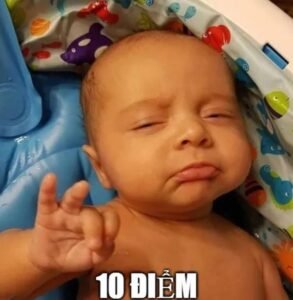 mức độ hợp cảnh của 10 điểm meme