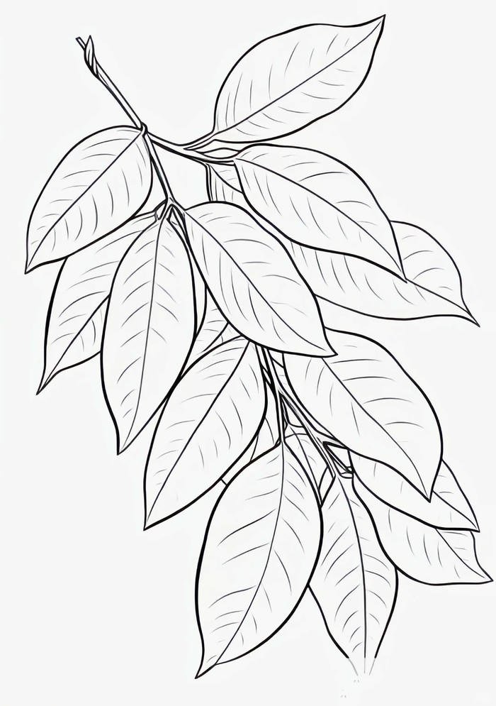 sáng tạo với tranh tô màu lá cây thiên nhiên