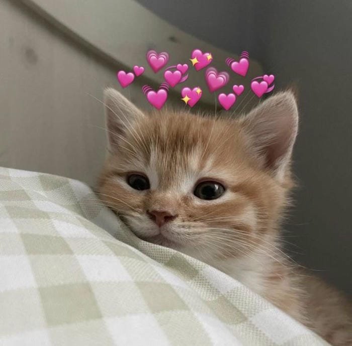 tăng tương tác meme trái tim dễ thương