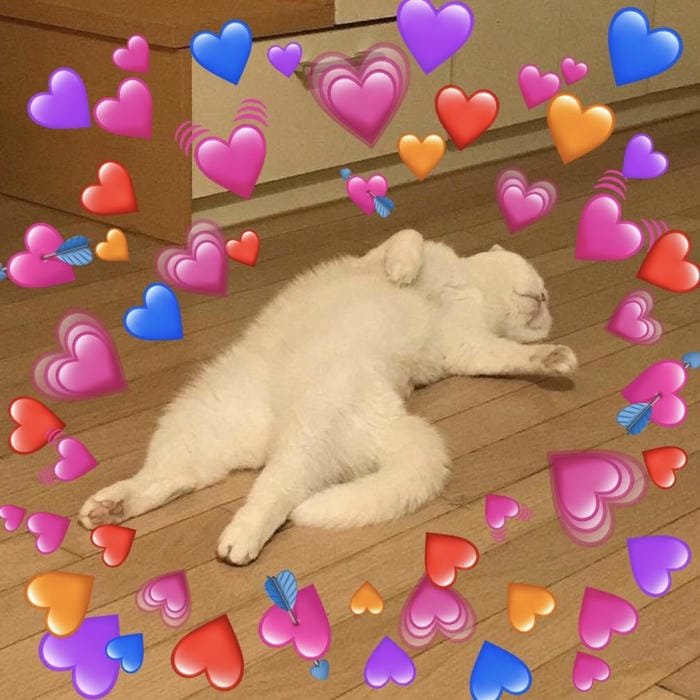 tin nhắn thân thiện hay dùng meme trái tim