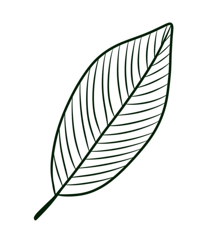 tranh tô màu cỏ 4 lá đơn giản dễ tô