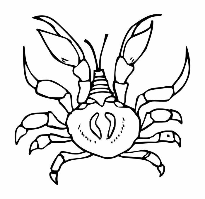 tranh tô màu con cua phù hợp học tập