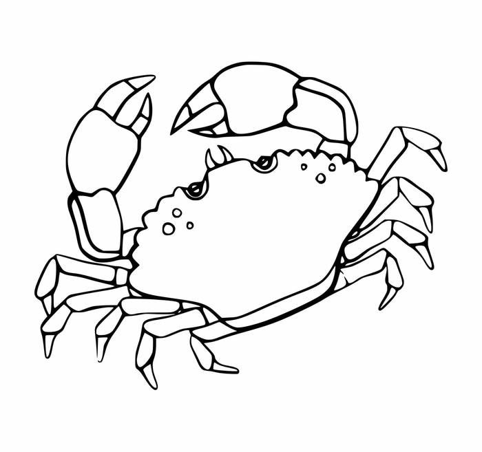 tranh tô màu con cua phù hợp trẻ nhỏ