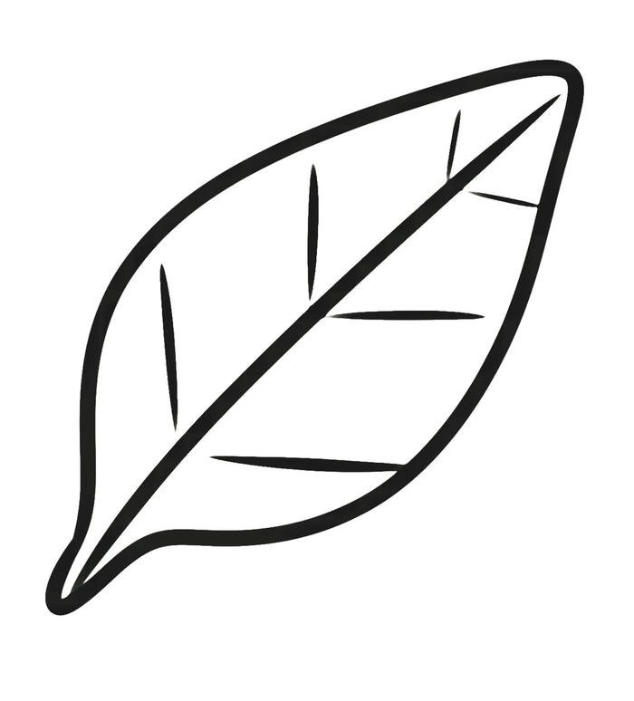 tranh tô màu lá cây đơn giản cho bé