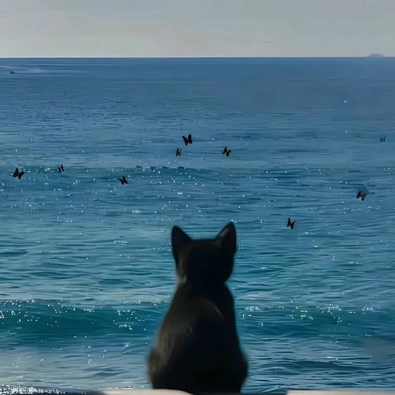 Ảnh đại diện phong cảnh cute phong vị ngọt