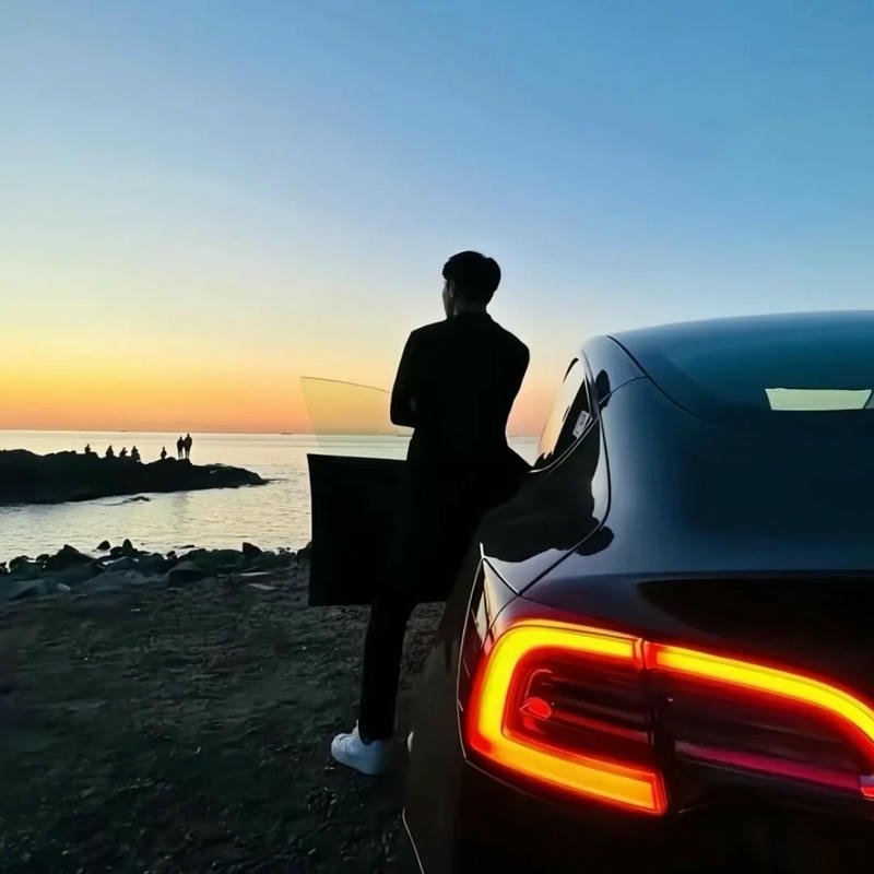 Avatar ô tô diện mạo cuốn hút giàu bản sắc