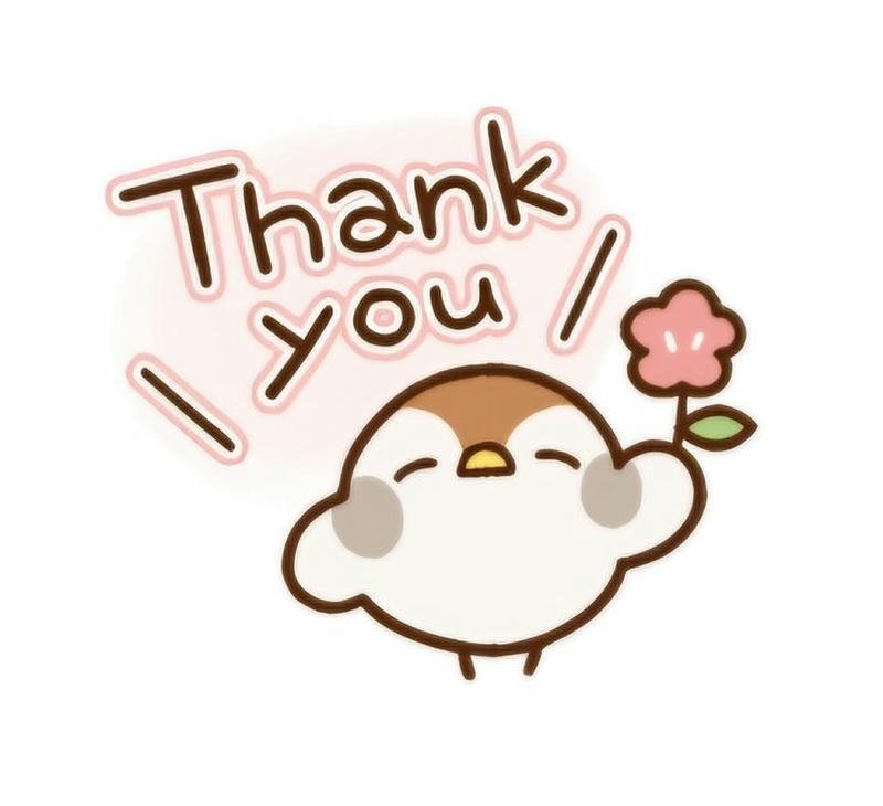 Ảnh lời cảm ơn mang phong cách hiện đại nổi bật