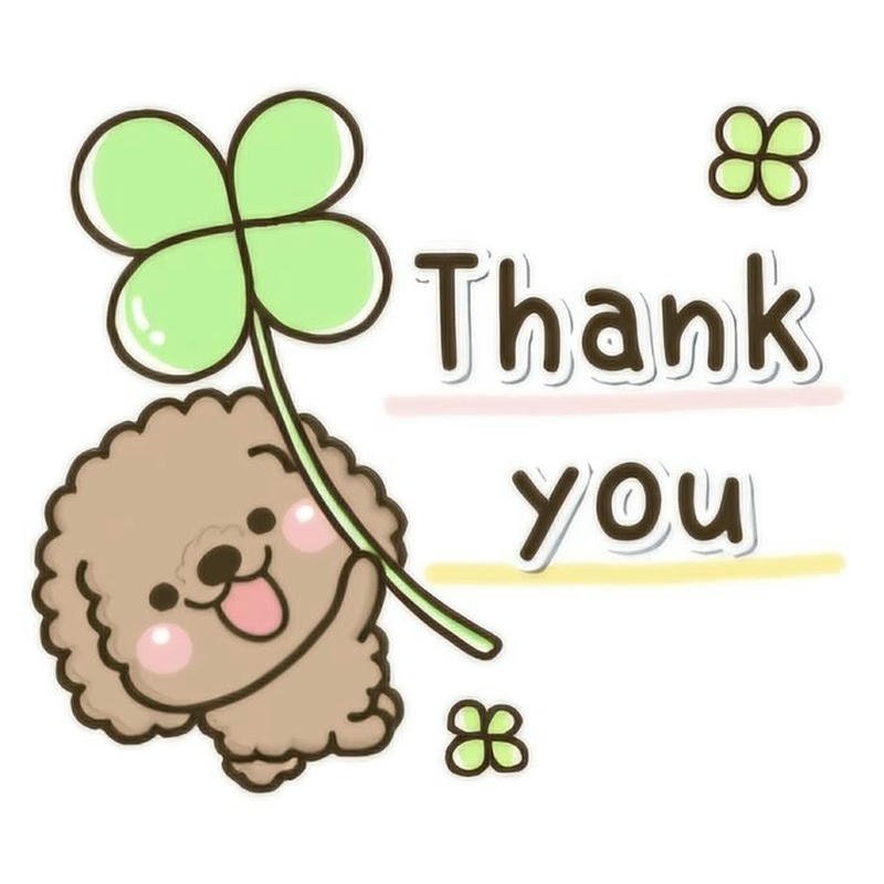 Avatar cảm ơn tạo dấu ấn bằng hình ảnh sinh động