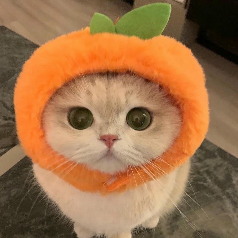 Avatar quả cam cute thể hiện biểu cảm dễ thương tự nhiên