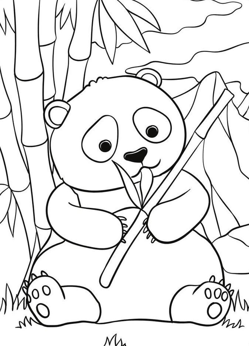 Chủ đề học vẽ gấu trúc cho trẻ mầm non