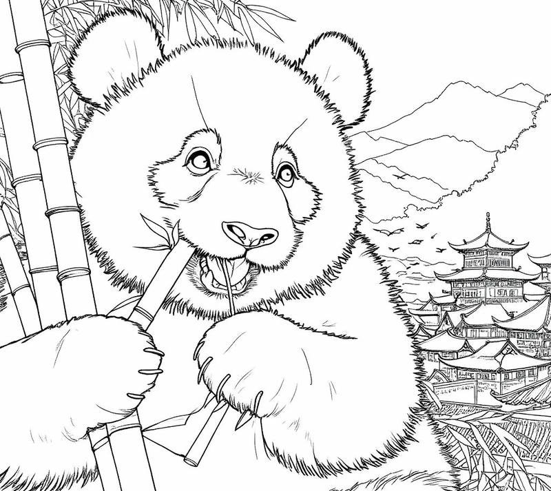 Chú gấu trúc nhỏ xinh cho bé tập tô màu