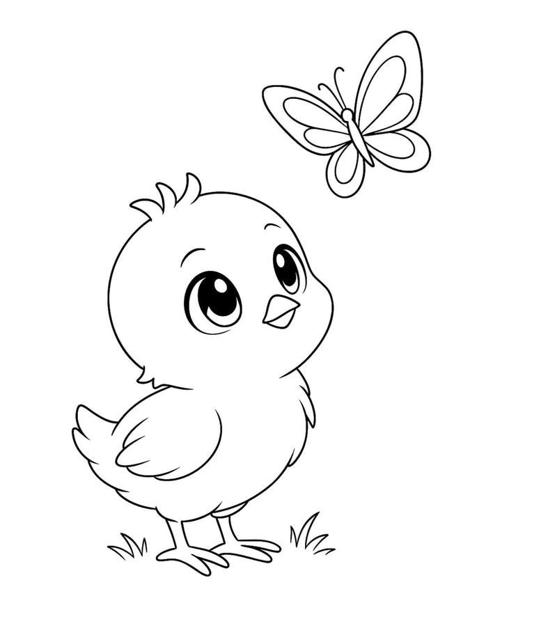 Đề tài tô màu gà con đơn giản cho bé mầm non