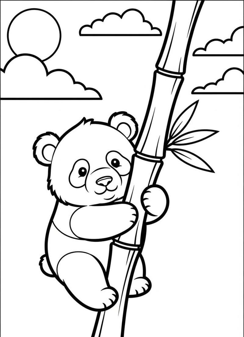 Gấu trúc con đáng yêu tô màu với phong cách hoạt hình