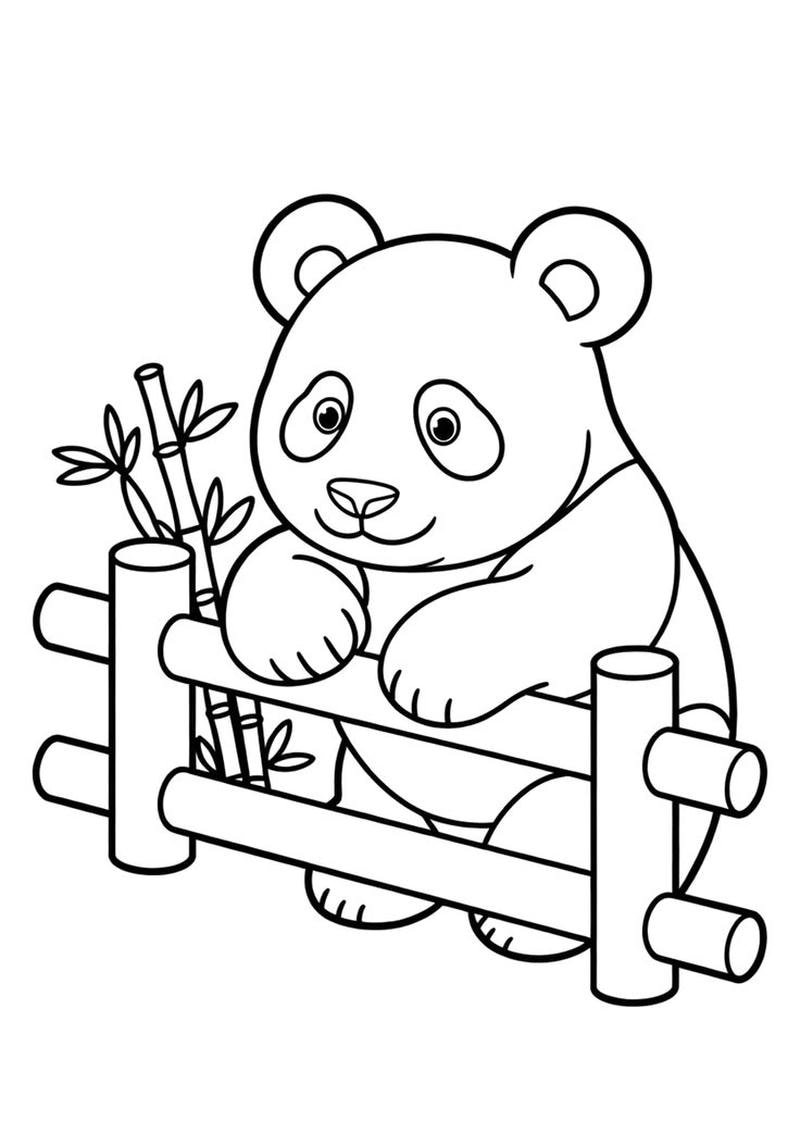 Hình ảnh tô màu gấu trúc cho bé học vẽ