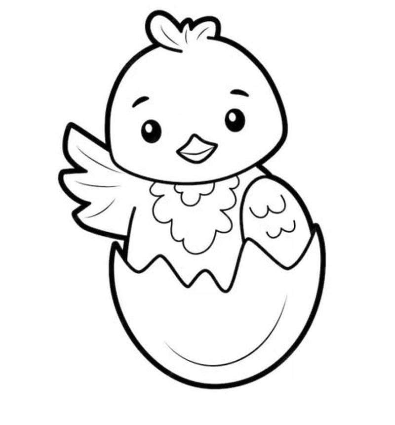 Hình minh họa gà con đơn giản phù hợp trẻ mầm non