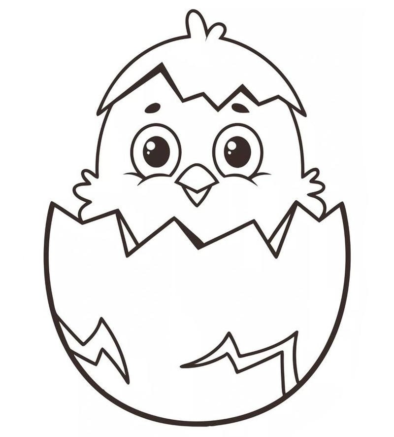 Hình vẽ chú gà con hoạt hình cho trẻ em học màu