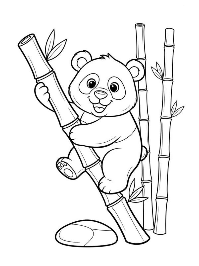 Hình vẽ gấu trúc con đơn giản cho bé học màu