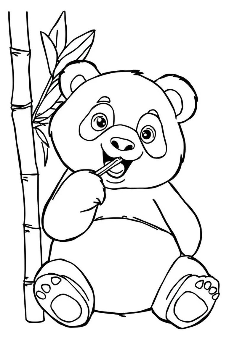 Ý tưởng tô màu gấu trúc với hình vẽ đơn giản